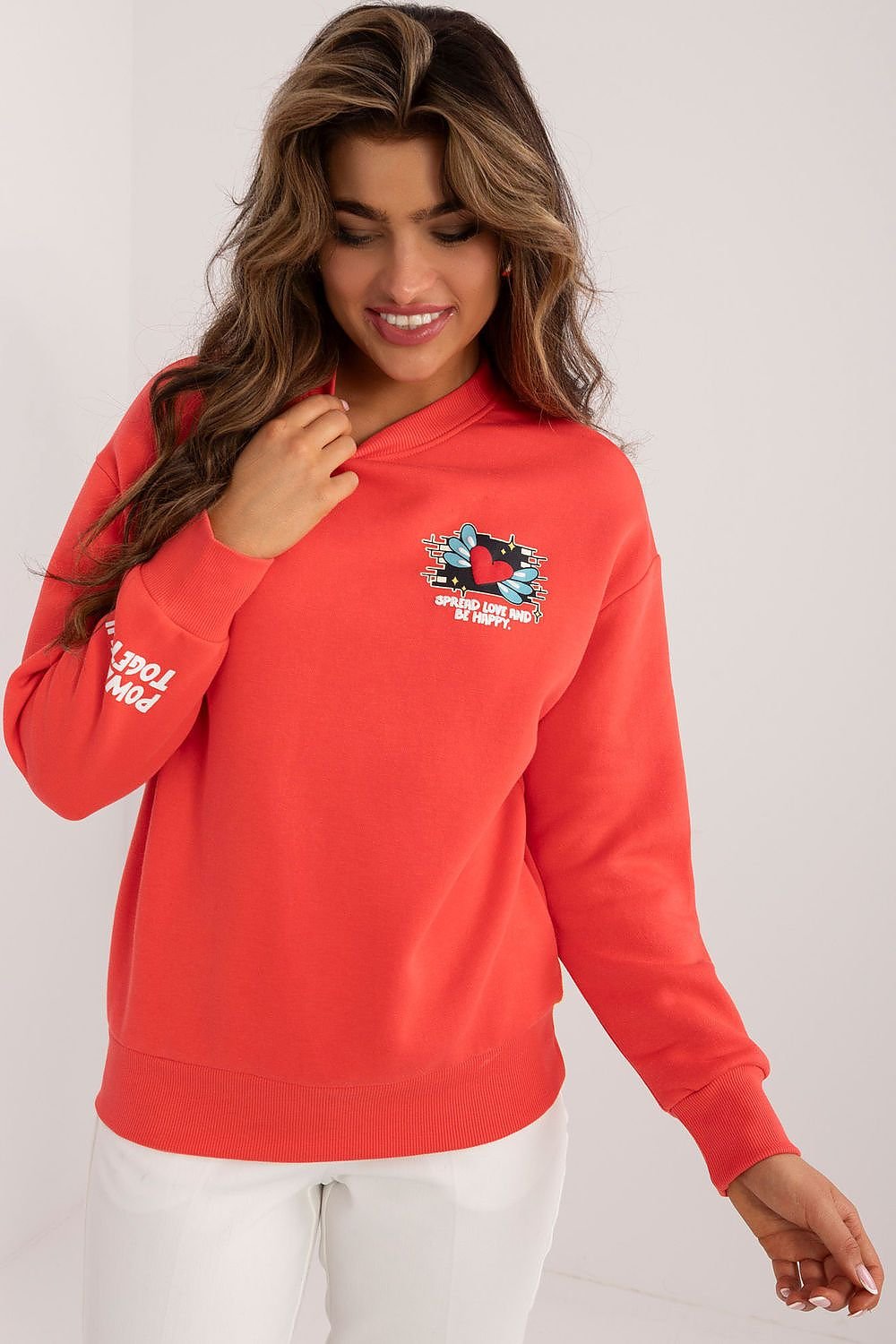 Sweatshirt model 199209